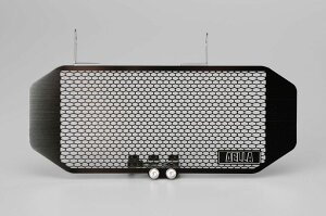 AELLA AG ICN[[veN^[ HYPERMOTARD939 DUCATI hDJeB WG[^[RAK[hEICN[[RAK[h p֘A GW J[FubN(dE_F)