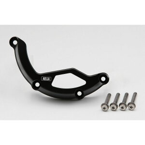 AELLA AG GWK[h L S1000R S1000RR S1000XR BMW t[