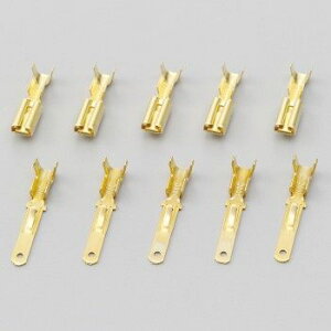 DAYTONA fCgi ^[qZbg [qEM{V[q XCb`En[lX֌W dn F5g (^[qIX^XAe5Zbg)