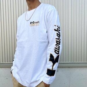 MISTY ~XeB KAWASAKI TqWHTr TVc Ap