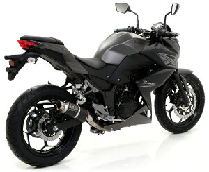 ARROW A[ GP2 TCT[ Lbg NINJA 250 300 Z KAWASAKI JTL XbvI}t[ }t[ TCT[ގF`^