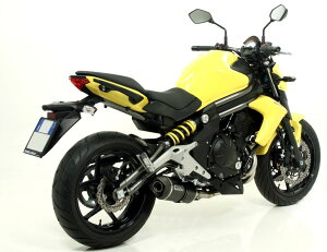 ARROW A[ RACE-TECH TCT[ ER-6F ER-6N VERSYS 650 KAWASAKI JTL XbvI}t[ }t[ TCT[ގFJ[{