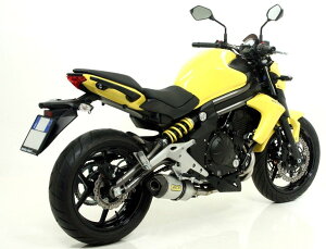ARROW A[ RACE-TECH TCT[ ER-6F ER-6N VERSYS 650 KAWASAKI JTL XbvI}t[ }t[ TCT[ގFA~jE