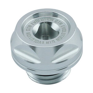 GTR W[eB[A[ GWICLbv KSR110 Z250 Z300 jW250 jW300 KAWASAKI JTL tB[Lbv GWp[c GW