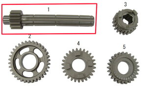 SP SP^PK yCizCVtg (13T) ̑JVtgIvVECi GWp[c GW