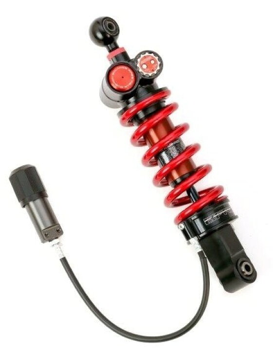 楽天市場】ADVANTAGE アドバンテージ SHOWA[ショーワ] BFRC-lite  