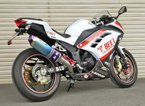 BEET r[g NASSERT-R Evolution TypeII JP250p@XeX[VO}t[ jW250 KAWASAKI JTL tGL][Xg}t[ }t[