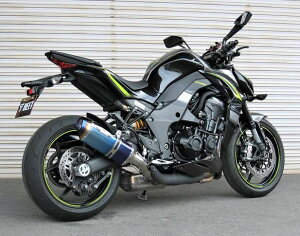 BEET r[g NASSERT(iT[g) Evolution TypeII T2 XbvI Z1000 R edition KAWASAKI JTL XbvI}t[ }t[
