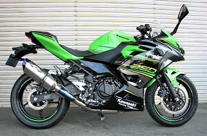 BEET r[g NASSERT(iT[g) Evolution TypeII tGL][Xg}t[ Ninja250 Z250 KAWASAKI JTL }t[ TCT[^CvF^ubN