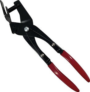 SIGNET VOlbg }t[nK[vC[ ̑AvC[ y`EvC[ nhc[