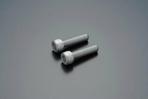 NISSIN jbV yyAzADVANTAGE [jbV] 2PotoLp[p\Pbg{g Lp[{gE}Eg{g u[L