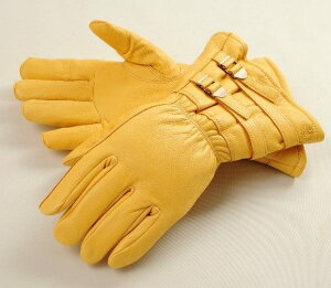 DEGNER fOi[ fBAXLEC^[O[u EC^[O[u O[u Ap