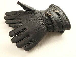 DEGNER fOi[ fBAXLEC^[O[u EC^[O[u O[u Ap