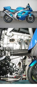 RADICAL WJ ptH[}X GL][Xg 955i TRIUMPH gCAt tGL][Xg}t[ }t[