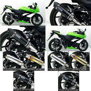 WirusWin ECYEB XbvI}t[ [^Cv tp[o[W jW250R KAWASAKI JTL }t[