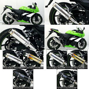 WirusWin ECYEB XbvI}t[ oY[J[^Cv tp[o[W jW250R KAWASAKI JTL }t[