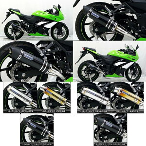 WirusWin ECYEB _Ci~bN}t[ [^Cv tp[o[W jW250R KAWASAKI JTL tGL][Xg}t[ }t[