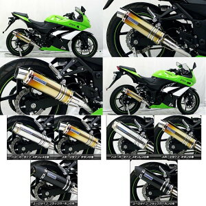 WirusWin ECYEB _Ci~bN}t[ X|[c^Cv tp[o[W jW250R KAWASAKI JTL tGL][Xg}t[ }t[