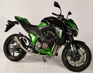 SPARK EXHAUST Xp[N }t[ MOTOGP XbvI}t[ Z 800 KAWASAKI JTL