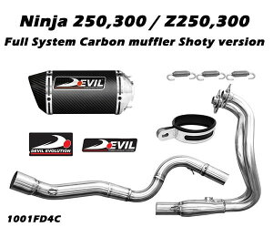 DEVIL EVOLUTION frG{[V tVXeJ[{}t[ D4C Ninja300 15 KAWASAKI JTL tGL][Xg}t[ }t[