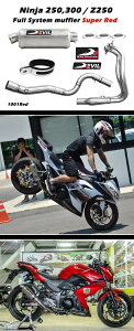 DEVIL EVOLUTION frG{[V tVXe`^vJ}t[D3 Ninja300 15 KAWASAKI JTL tGL][Xg}t[ }t[