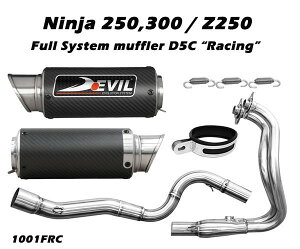 DEVIL EVOLUTION frG{[V tVXeJ[{V[g}t[ D5C Ninja300 15 KAWASAKI JTL tGL][Xg}t[ }t[