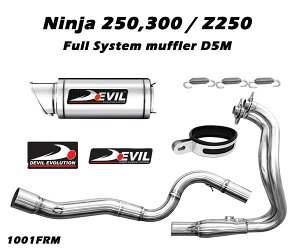 DEVIL EVOLUTION frG{[V tVXeXeX}t[ D5M Ninja300 15 KAWASAKI JTL tGL][Xg}t[ }t[