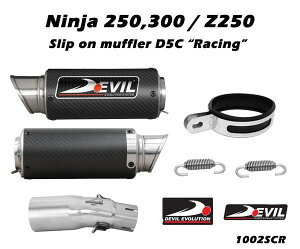 DEVIL EVOLUTION frG{[V XbvIJ[{V[g}t[ D5C Ninja300 15 KAWASAKI JTL XbvI}t[ }t[