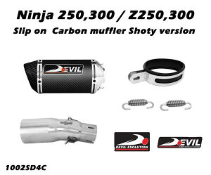 DEVIL EVOLUTION frG{[V XbvIJ[{}t[ D4C Ninja300 15 KAWASAKI JTL XbvI}t[ }t[