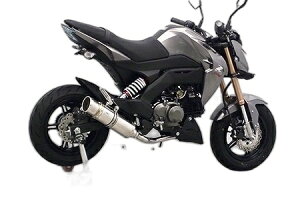 WirusWin ECYEB C}t[ Z125 v KAWASAKI JTL tGL][Xg}t[ }t[ IvVFȂ / ^CvF|bp[^Cv / dlFubNJ[{o[WA
