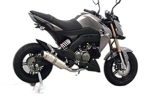 WirusWin ECYEB C}t[ Z125 v KAWASAKI JTL tGL][Xg}t[ }t[ IvVFȂ / ^CvFX|[c^Cv / dlFubNJ[{o[WA