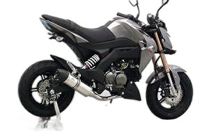 WirusWin ECYEB C}t[ Z125 v KAWASAKI JTL tGL][Xg}t[ }t[