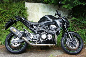 ؃[VO cLM[VO TRGL][XgVXe J[{wLTSTCT[ Z800 KAWASAKI JTL tGL][Xg}t[ }t[