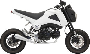 BASSANI obT[j GL][XgVXe [_E O XeXO yEXHAUST LO MEG SS GROM [1810-2256]z tGL][Xg}t[ }t[