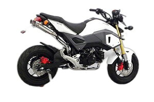 WirusWin ECYEB Ag~bNcC}t[ O HONDA z_ tGL][Xg}t[ }t[