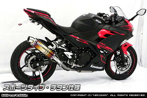 WirusWin ECYEB XbvI}t[ X|[c^Cv jW250 KAWASAKI JTL }t[