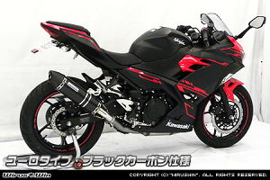 WirusWin ECYEB XbvI}t[ [^Cv jW250 KAWASAKI JTL }t[