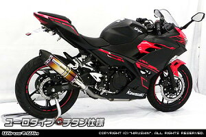 WirusWin ECYEB XbvI}t[ [^Cv jW250 KAWASAKI JTL }t[