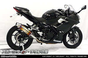 WirusWin ECYEB XbvI}t[ X|[c^Cv jW400 KAWASAKI JTL }t[