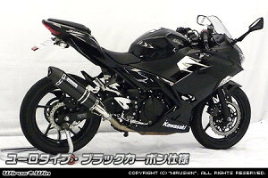 WirusWin ECYEB XbvI}t[ [^Cv jW400 KAWASAKI JTL }t[