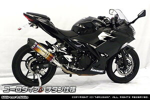 WirusWin ECYEB XbvI}t[ [^Cv jW400 KAWASAKI JTL }t[