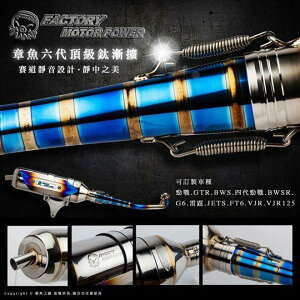 S-RZ �G�X�A�[���[�b�g TK1 Full exhaust system(Titanium pipe) ALPHA MAX PGO �t���G�L�]�[�X�g�}�t���[ �}�t���[ �^�C�v�FWithout O2 Sensor mounting bung hole