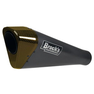 Brockfs ubNX Performance Penta-Carbon tGL][Xg}t[ ZX10R KAWASAKI JTL }t[ GhJ[FS[h / ^CvFXeXZ~bNubN / GuJ[FStupid 