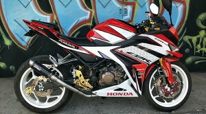 Pro Liner vCi[ TR1 R J[{ tGL][Xg}t[ CBR150R HONDA z_ }t[ ^CvFTR1 R J[{ O(250mm)