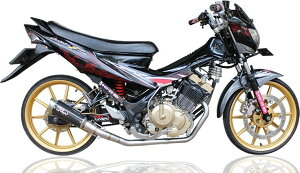 Pro Liner vCi[ TR1 R J[{ tGL][Xg}t[ Satria F150 FU SUZUKI XYL }t[ ^CvFTR1 R J[{ O(250mm)