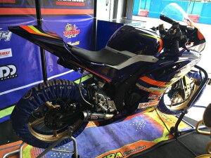 Pro Liner vCi[ TR1 R J[{ tGL][Xg}t[ YZF-R25 YZF-R3 YAMAHA }n }t[ ^CvFTR1 R J[{ O(250mm)