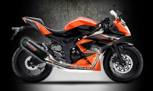 PROSPEED vXs[h tVXeGL][Xg}t[ ubNV[Y Ninja RR mono jW250SL KAWASAKI JTL tGL][Xg}t[ }t[