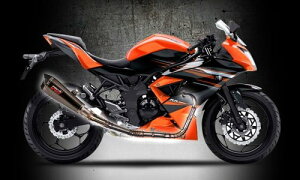 PROSPEED vXs[h tVXeGL][Xg}t[ V[NubNV[Y Ninja RR mono jW250SL KAWASAKI JTL tGL][Xg}t[ }t[