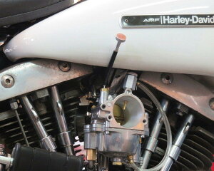 Neofactory lIt@Ng[ C[W[AChXN[ SSLup ėp HARLEY-DAVIDSON n[[_rbh\ AWX^[EXN[EAChXN[ zC֘A GW