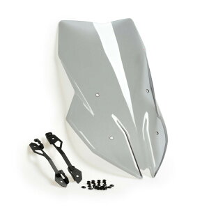 Puig �v�[�` �c�[�����O�X�N���[�� S1000XR M1000XR BMW �X�N���[�� �O��